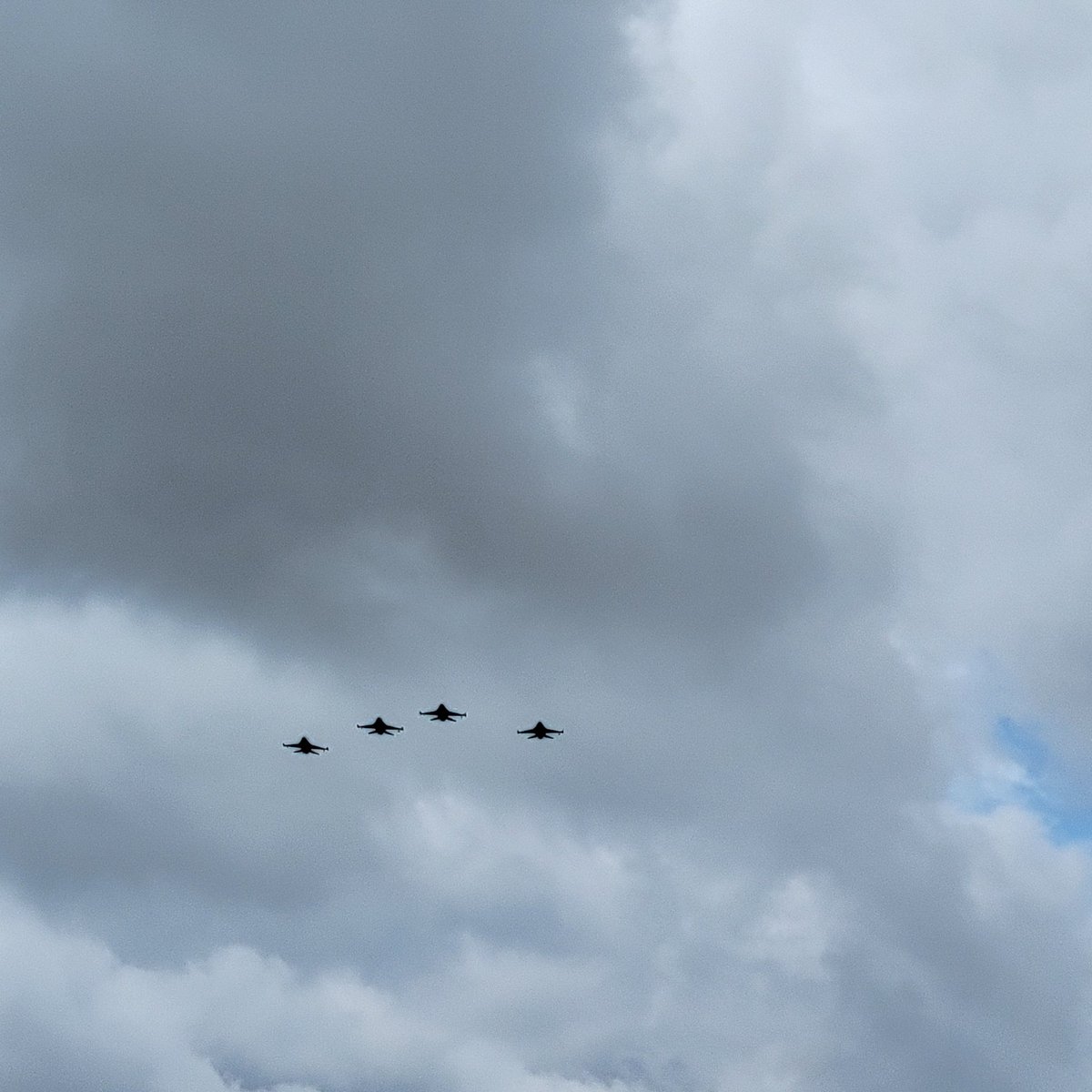 MustachioT tweet media