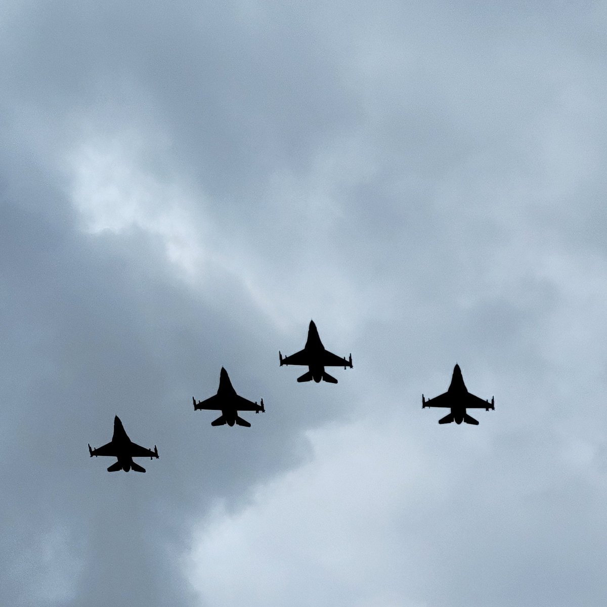 MustachioT tweet media