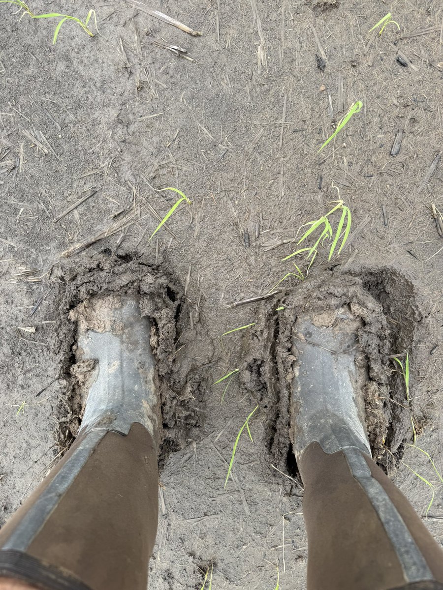 Jay B Coker tweet media