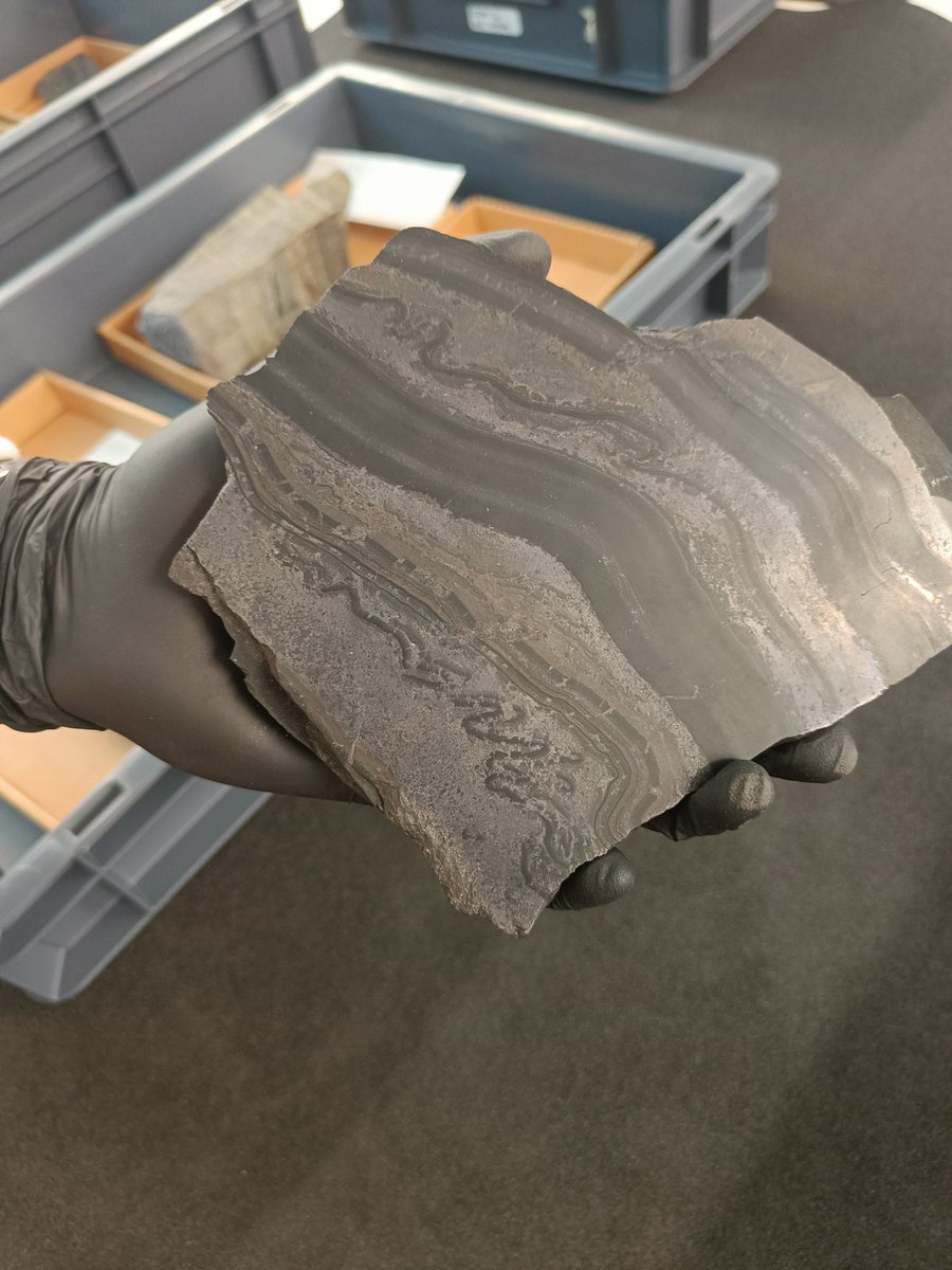 Isabel Queay tweet media