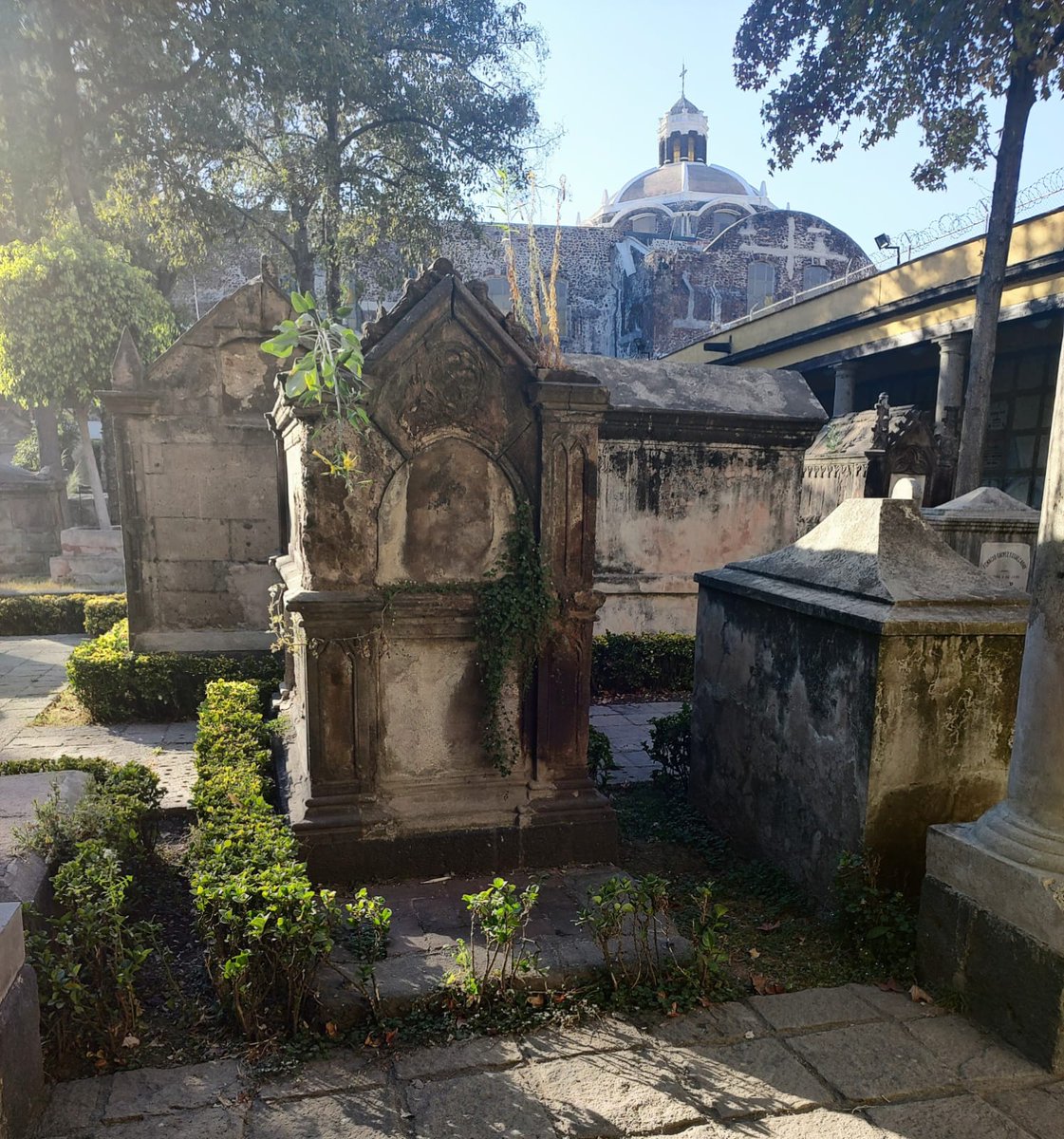 Fideicomiso Centro Histórico de Ciudad de México (@centro_cdmx) on Twitter photo ✨Tu museo favorito del Centro Histórico✨
Pamela Pelz nos comparte uno de sus museos favoritos del Centro Histórico, el <a href="/PanteonSanFer/">Museo Panteón de San Fernando</a>.
¡Fotos que hablan, museos que inspiran! 📷
#CapitalDeLaTransformación ✨Tu museo favorito del Centro Histórico✨
Pamela Pelz nos comparte uno de sus museos favoritos del Centro Histórico, el <a href="/PanteonSanFer/">Museo Panteón de San Fernando</a>.
¡Fotos que hablan, museos que inspiran! 📷
#CapitalDeLaTransformación
