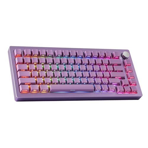 I just received a contribution towards EPOMAKER Tide75 QMK/VIA Wireless 75% Aluminum Mechanical Keyboard (Purple, Lemon Switch) from KamiDork via Throne. Thank you! throne.com/gyrokaleido #Wishlist #Throne