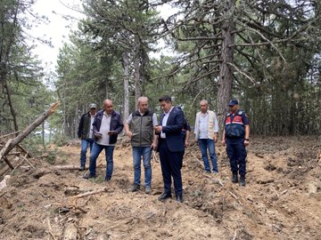 Karacasu’da Orman Yangınına Karşı Mücadele Sürüyor