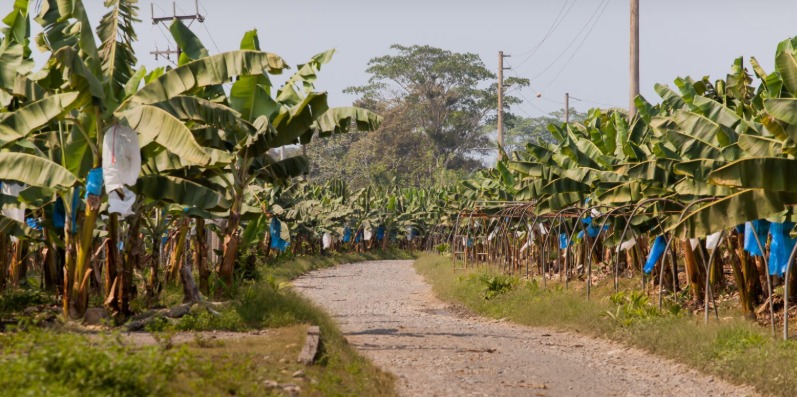 La ley debe cumplirse, sí. Pero también hay que tener voluntad de diálogo y buscar soluciones reales, no populistas. Aquí no hubo disposición de conciliar ni de pensar en el futuro de esas familias. Solo hubo discursos. Y ahora, silencio.<a href="/presidenciapma/">Presidencia de la República de Panamá</a> #AfRam <a href="/Mef_Pma/">Ministerio de Economía y Finanzas de Panamá</a> <a href="/MICIPMA/">Ministerio de Comercio e Industrias de Panamá</a>