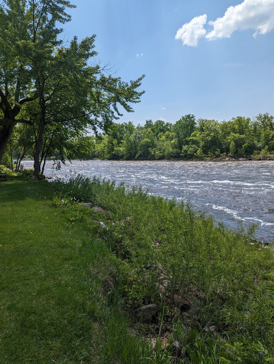timmaytoo's tweet photo. Nice little stop for lunch on our way home.  #littlefalls https://t.co/xUOlaA51lR