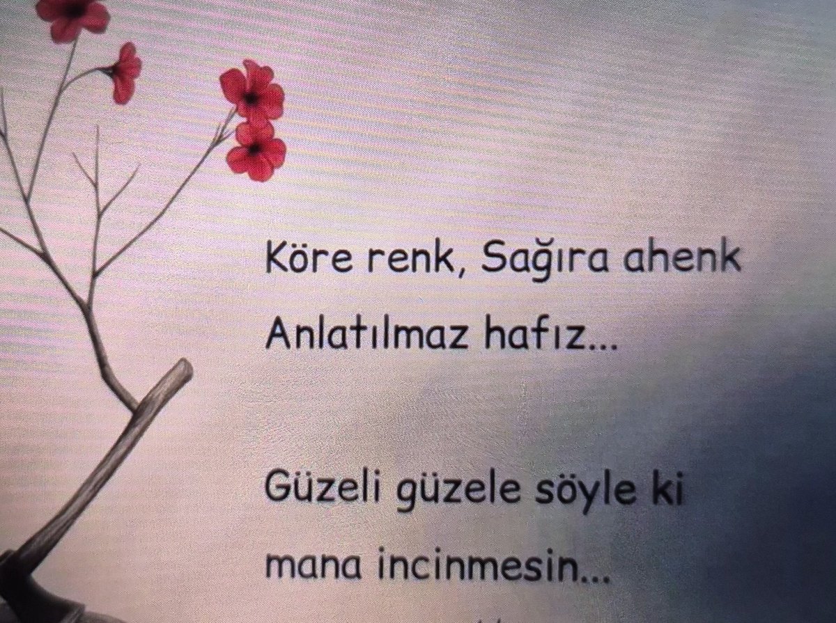 Evliya Sinan Çimen (@sinanevliya) on Twitter photo 