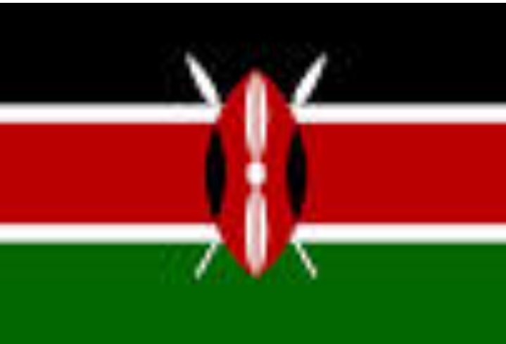 Majirani zetu Kenya tunaomba endeleeni kupambana na Idd Amini Mama mpaka ajute kuwakorofisha maana leo Bunge la Tanzania limeacha kujadili mambo ya nchi, likaanza kujadili vile Wakenya wanashughulika na Idd Amin Mama.