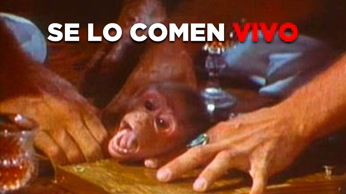 1spiderdan's tweet photo. LA PELICULA PROHIBIDA MÁS ASQUEROSA DE LA HISTORIA (⚠️ No Apto Para Personas Sensibles)

+VIDEO

ABRO HILO 🧵 https://t.co/eIBbr20vib
