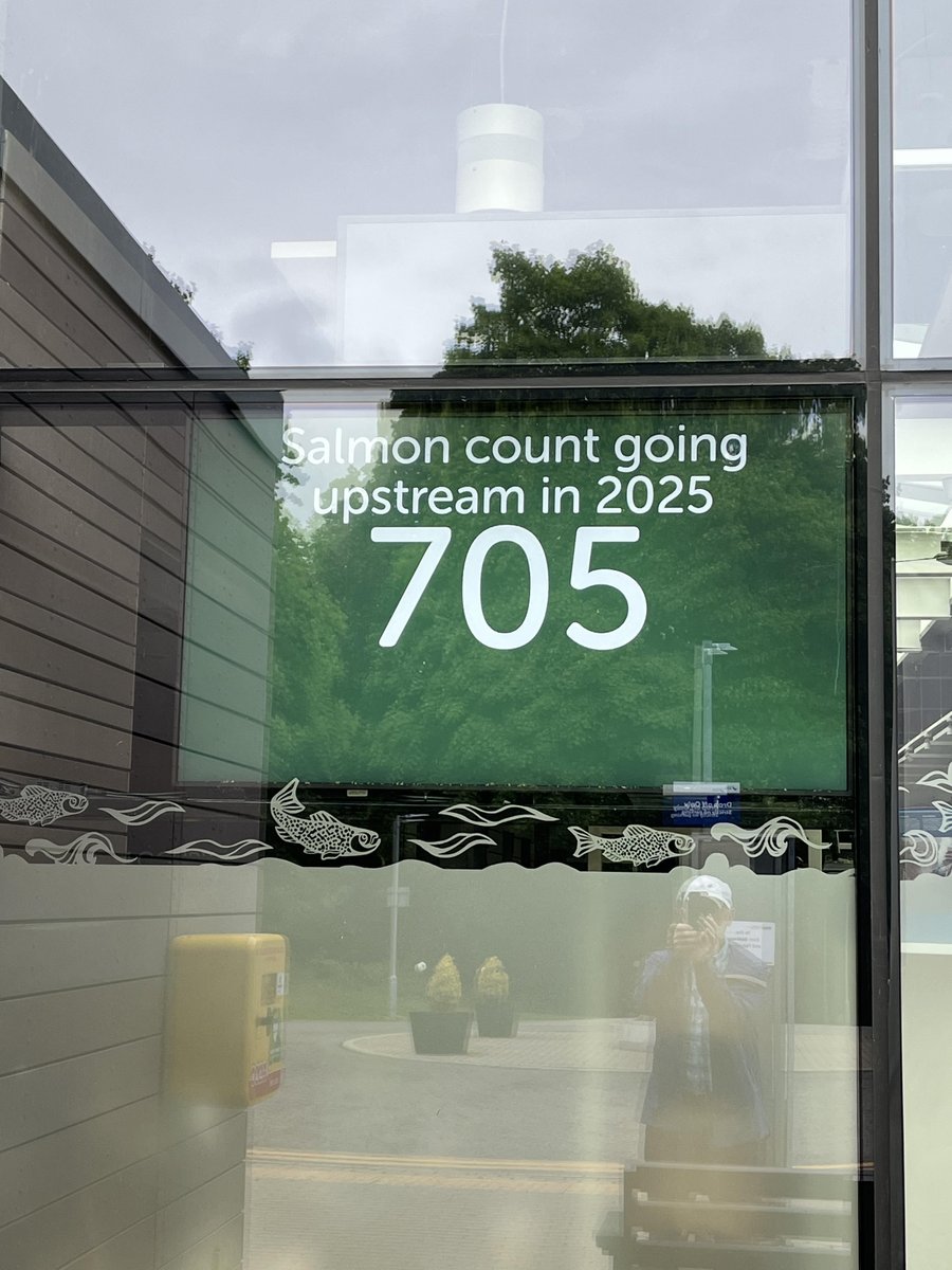 Ladder count 705
Monday 26/5/25   19:08 BST