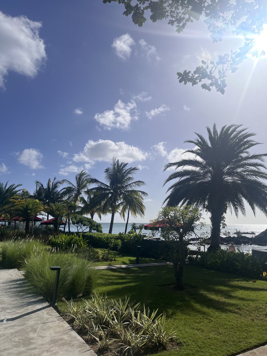 totoo716's tweet photo. Mauritius ❤️ https://t.co/OG7tFk3aYA