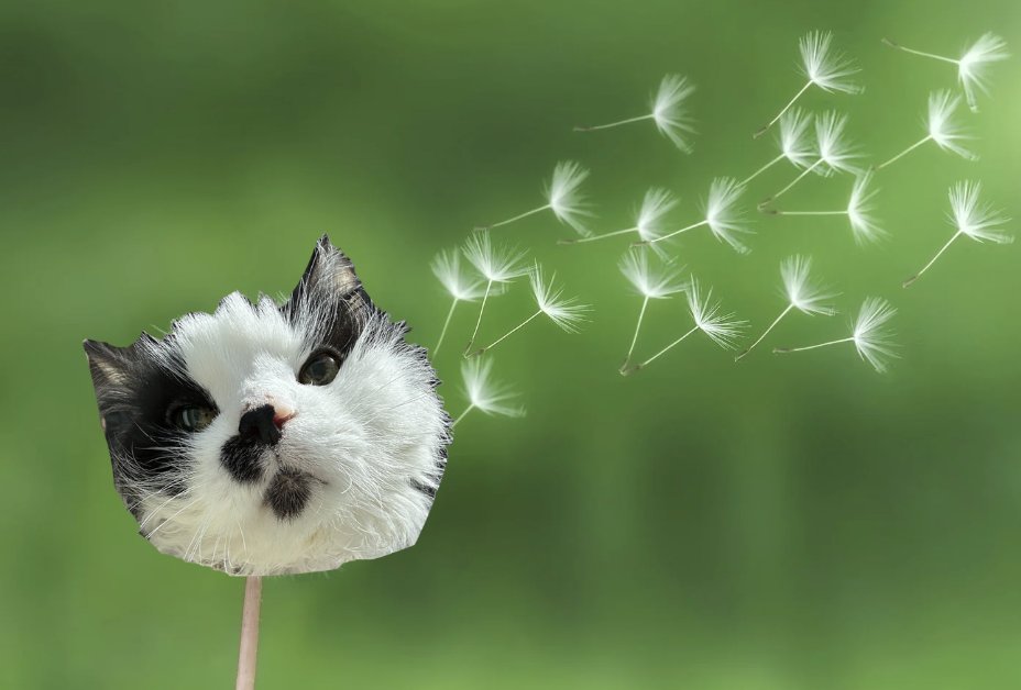 Messing around in Canva and came up with this masterpiece