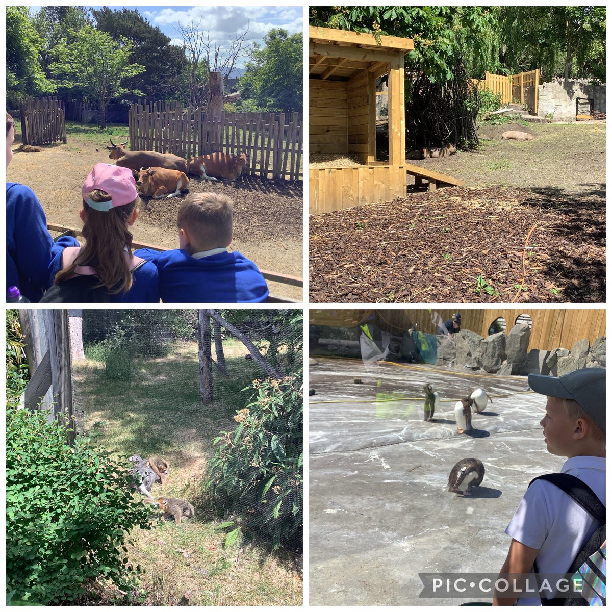 Deanburn PS P3 tweet media