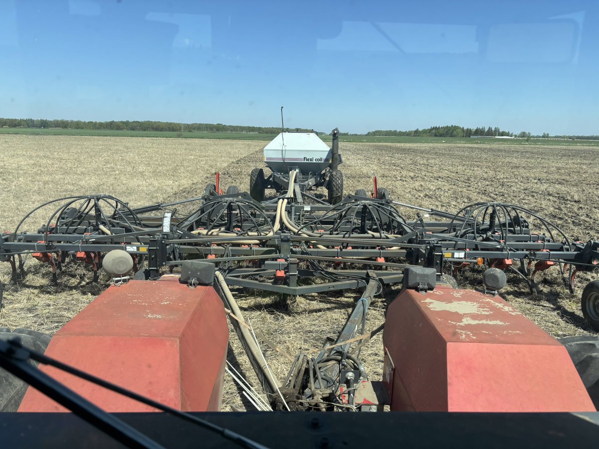 Today we’re drilling a barley/pea intercrop into full season cover crop stubble