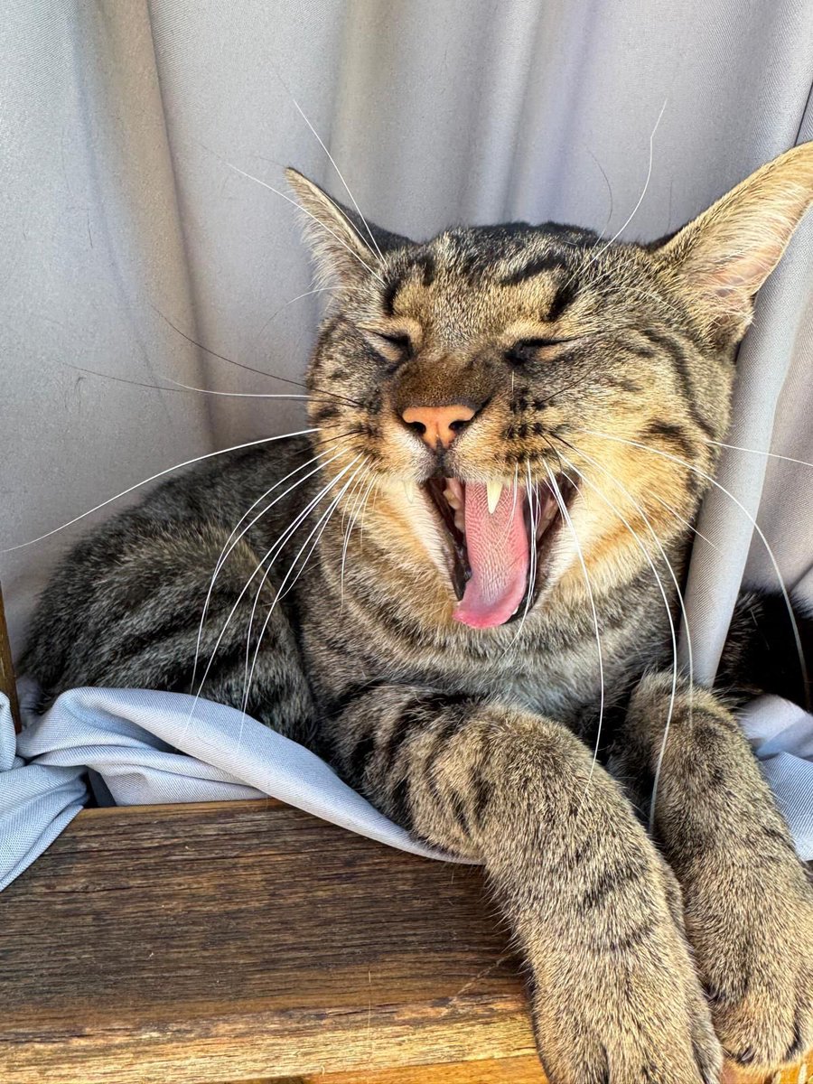 hallo, was hab ich verpasst?