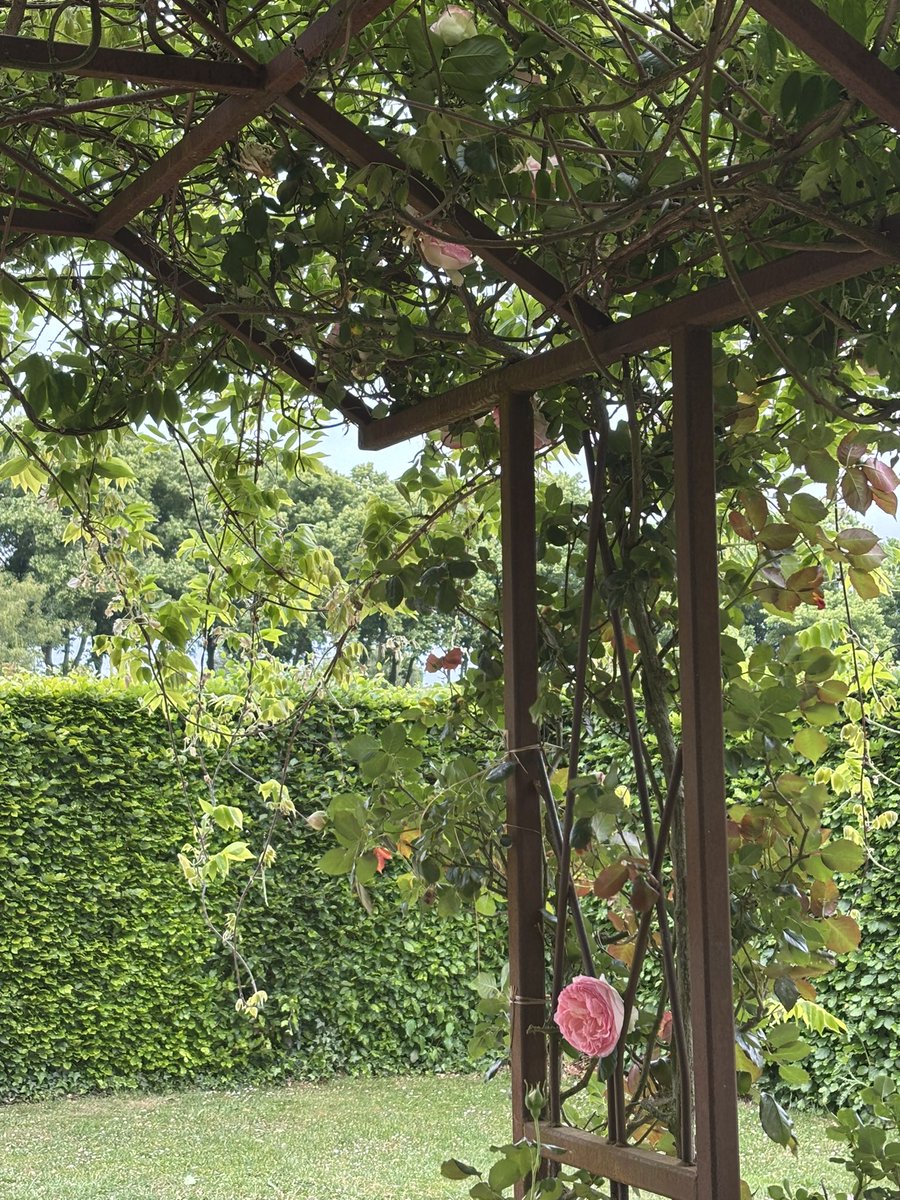 philesiaceae's tweet photo. Je repense à ma promenade du week-end passé… envie de m’évader… #workishard #migraine #cerveauenébullition https://t.co/XhXTpQv2Is