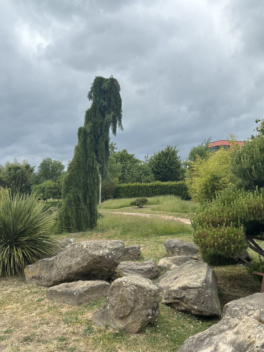 philesiaceae's tweet photo. Je repense à ma promenade du week-end passé… envie de m’évader… #workishard #migraine #cerveauenébullition https://t.co/XhXTpQv2Is