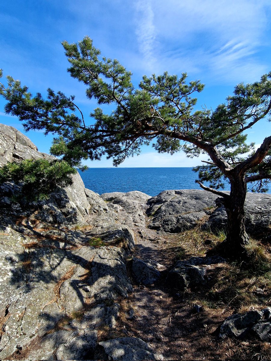 Horizon of dreams 💙