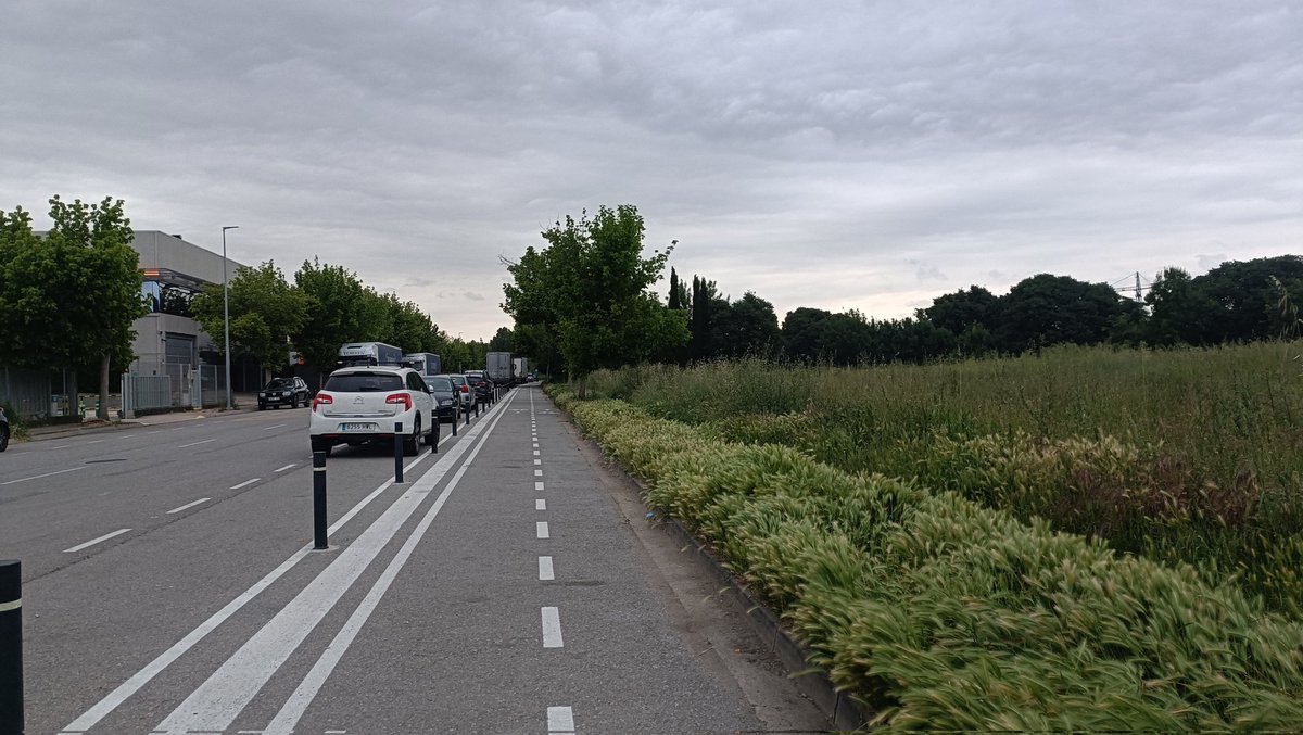 vicvazbal94's tweet image. Bona tarda @Girona_Cat @llsalellasvilar @GuanyemGirona @sergicot, sobre el tema de males herbes, podrieu mirar el sector de Domeny? No s'hi pot córrer en un espai que vau "estrenar" fa un mes. Gràcies!