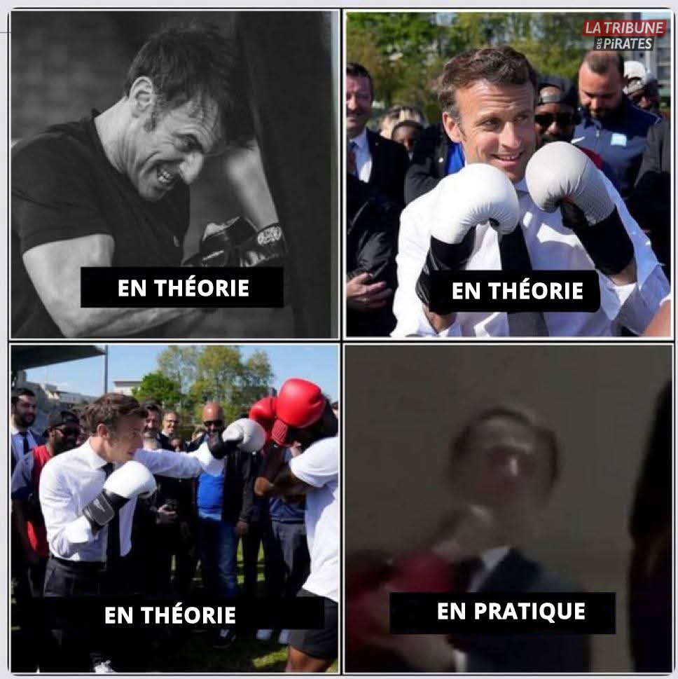 La Tribune des Pirates tweet media