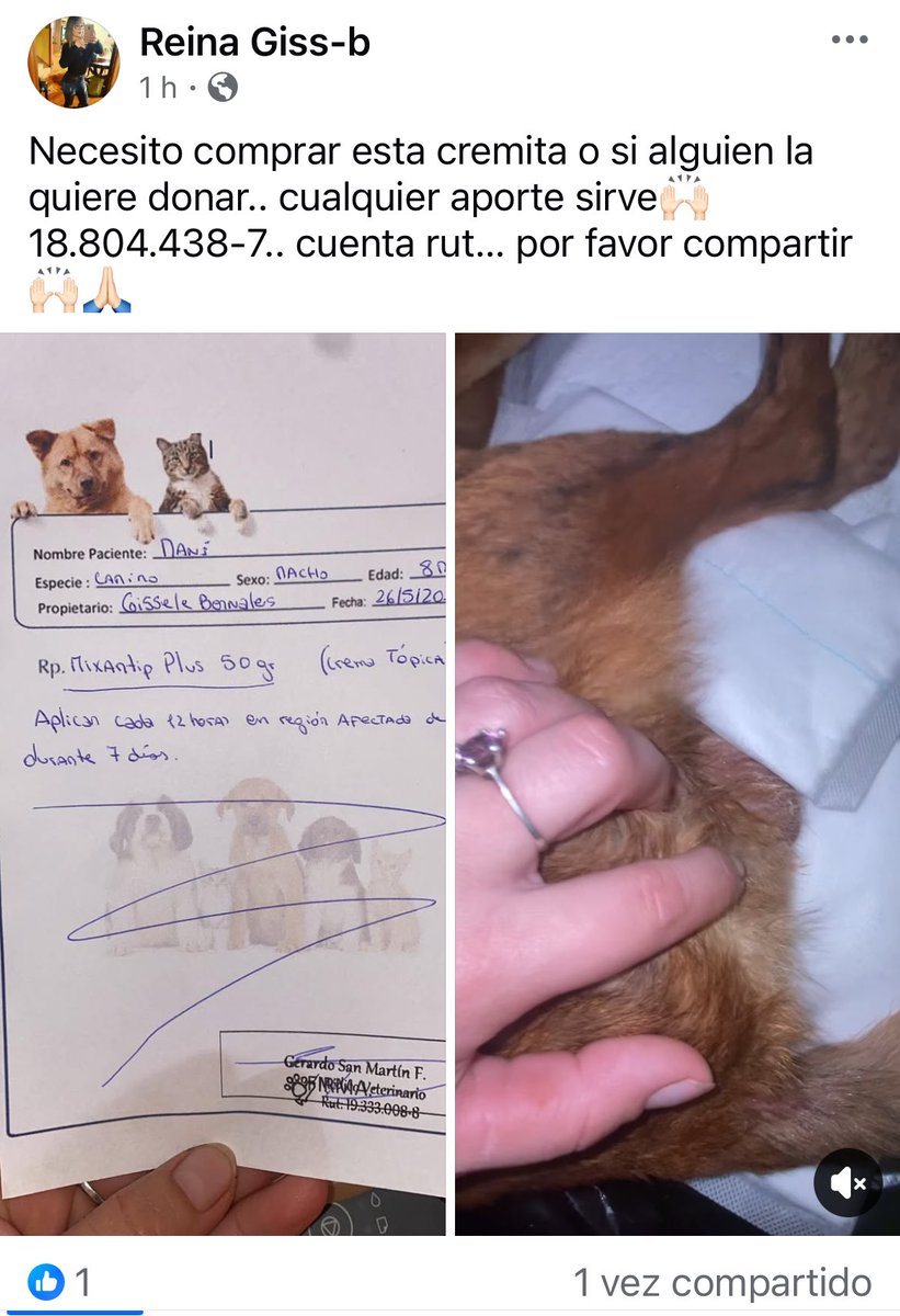 Dani🐈🐶🐾🐾 tweet media