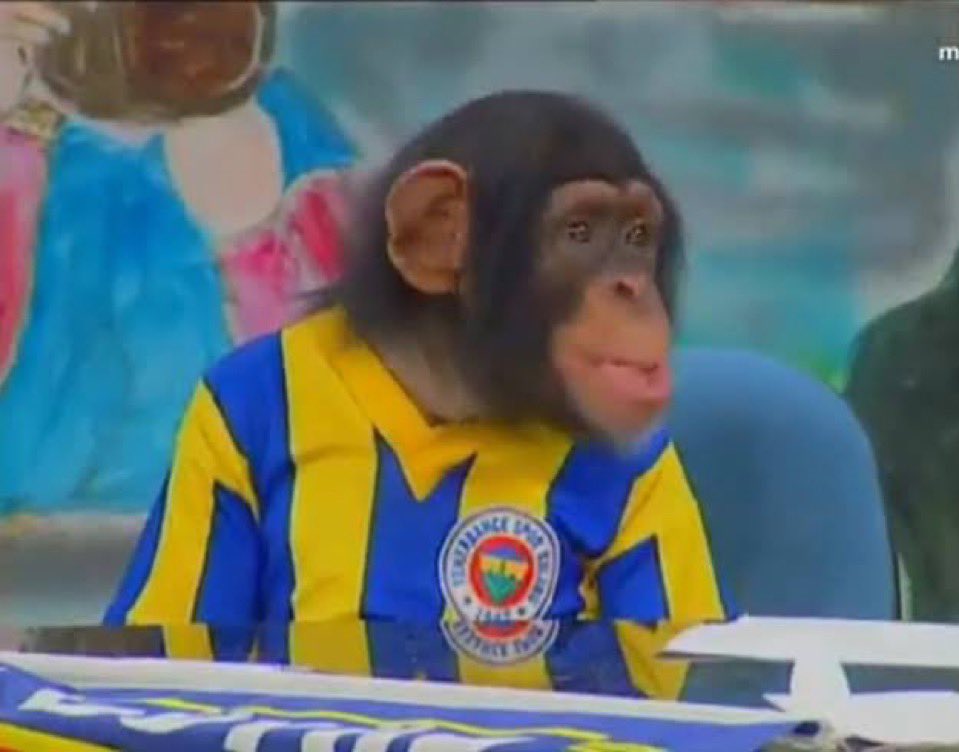 Gelen vurdu vurdu vurdu 🤣