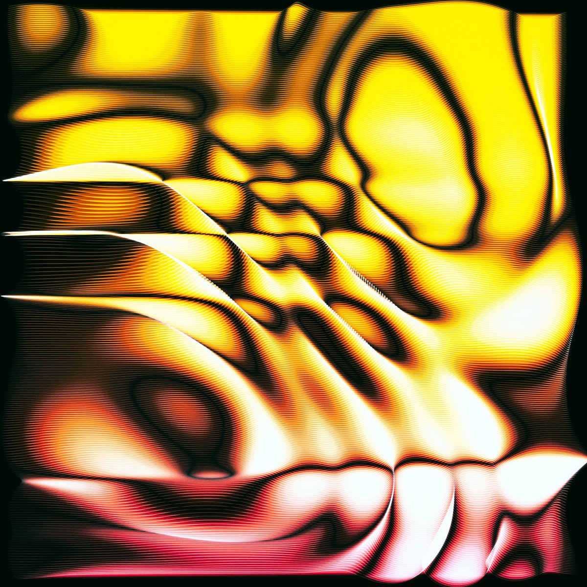 captainjack 🏴‍☠️ tweet media