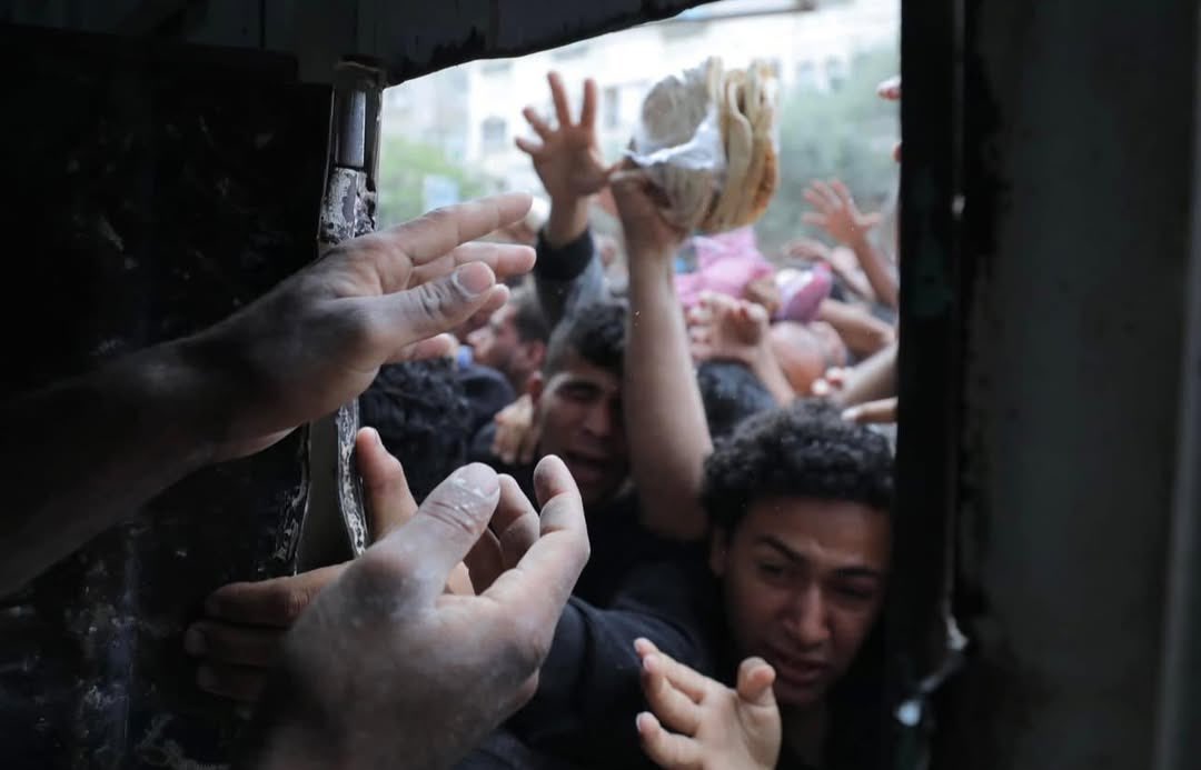 «Η φωνή μας είναι η φωνή εκείνων που δεν μπορούν να ακουστούν. Η Γάζα αιμορραγεί. Οι γιατροί δεν σιωπούν, στηρίζουν. Αλληλεγγύη στην Παλαιστίνη!»
Η Ένωση Ελλήνων Ωτορινολαρυγγολόγων Ελευθέρων Επαγγελματιών, έβγαλε ανακοίνωση μετά την επιστροφή από την Γάζα του χειρουργού κεφαλής