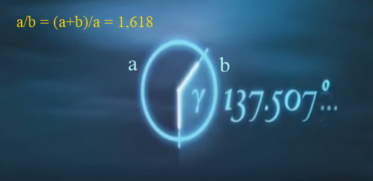 Atomların dünyasını biraz kenara bırakalım, daha sade düşünelim; 360 derece ile Altın Oran arasındaki bağ, 137'yi zaten veriyor.

Doğamızın da dairesel hareketini dikkate aldığımızda 137'nin kaçınılmazlığı daha rahat görünecektir. 

İşte bu, atomların dünyasında 1/137,035 olur.