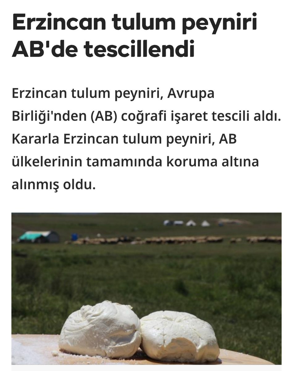 Selami Türkoğlu tweet media