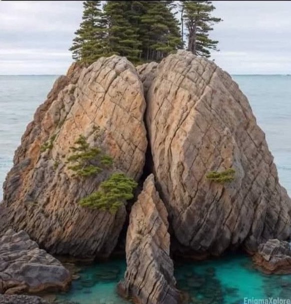 La naturaleza es tan hermosa… 😍