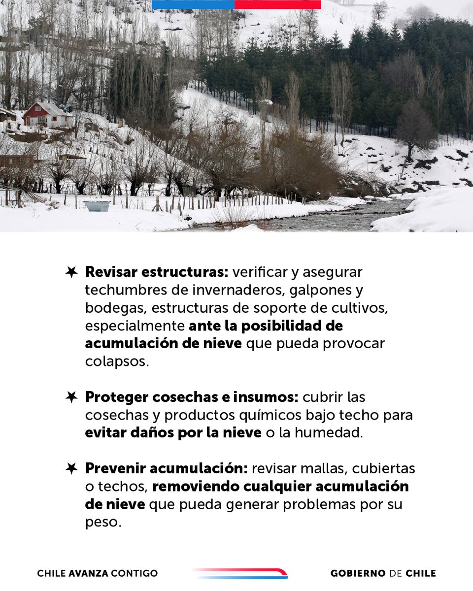 Ministerio de Agricultura de Chile 🇨🇱 (@minagricl) on Twitter photo ⚠️❄️¿Cómo prepararte frente a posibles nevazones?
👉 Conoce estas recomendaciones para agricultores y ganaderos, frente al pronóstico de nevazones emitido por <a href="/meteochile_dmc/">MeteoChile</a> para las zonas cordilleranas entre las regiones de O'Higgins y Biobío.
Revisa más consejos del Plan de ⚠️❄️¿Cómo prepararte frente a posibles nevazones?
👉 Conoce estas recomendaciones para agricultores y ganaderos, frente al pronóstico de nevazones emitido por <a href="/meteochile_dmc/">MeteoChile</a> para las zonas cordilleranas entre las regiones de O'Higgins y Biobío.
Revisa más consejos del Plan de