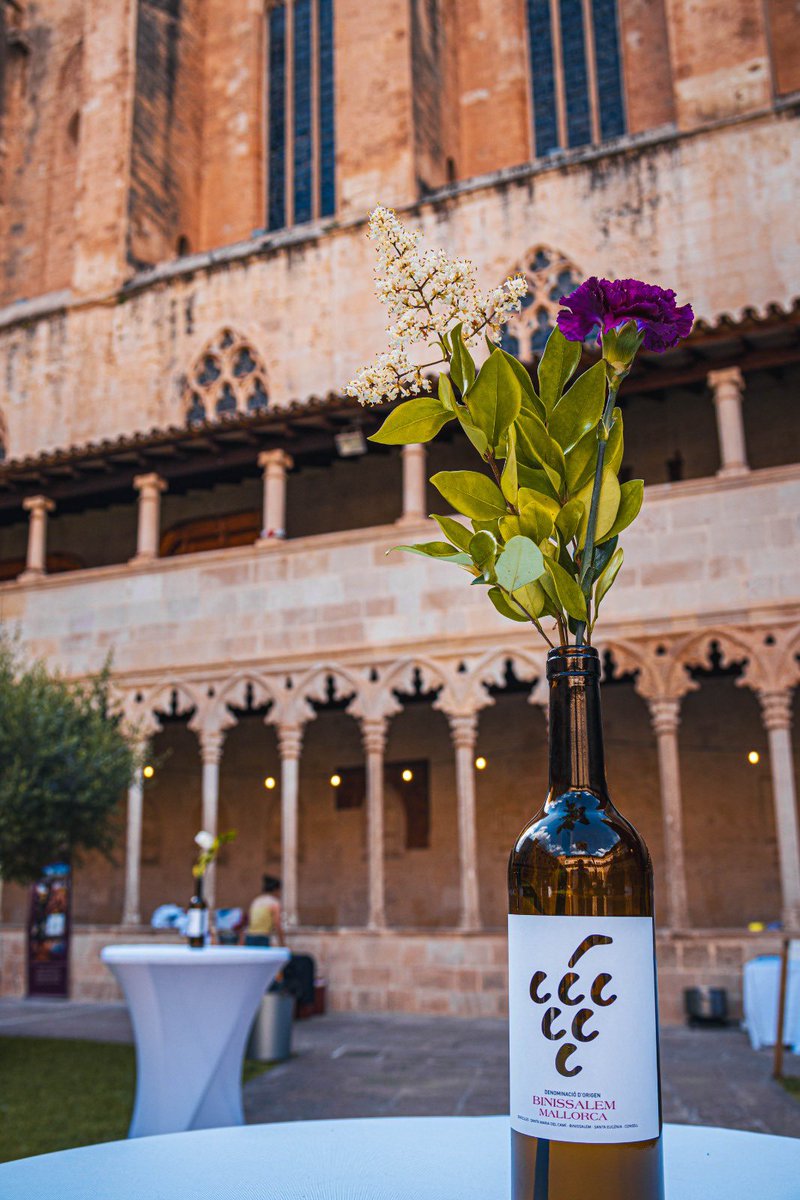 BinissalemDO's tweet image. El Claustro de Sant Francesc de Palma, de nuevo, fue el escenario de una de las citas más esperadas de la primavera mallorquina: la Fiesta Wine Days DO Binissalem. Un evento único que aúna vino, gastronomía y patrimonio en un ambiente mágico. 10 bodegas x 4 chefs x5 prod DOP/IGP