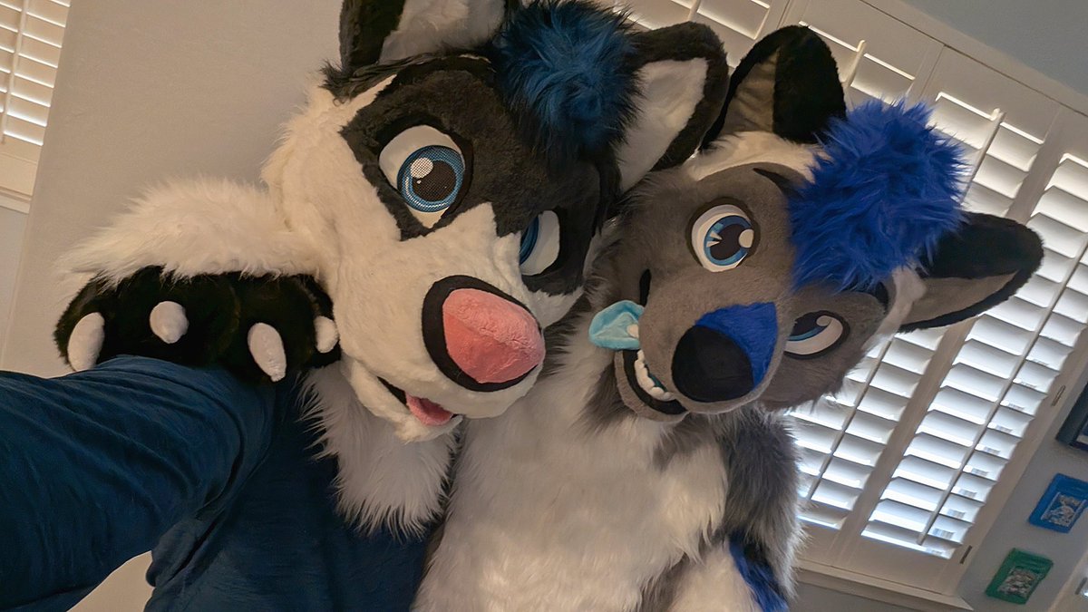 I'm a smidgen late to the fursuit reveal....buuuuut whatevah! Unboxed on April 22nd

Little update, my husband Astro &amp; I will be heading to Anthrocon this year! Super excited! 

🧵🪡✂️: <a href="/wolf_daz/">Daza</a>