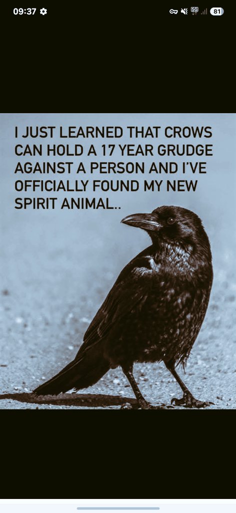 Gemma Ward, BA (Hons.), MA, PCIfA 🏛 (@digcrazygal) on Twitter photo 