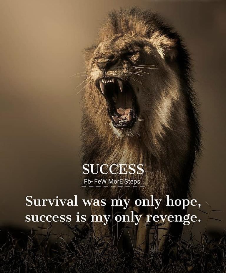 ROARHighSpeX's tweet photo. JOB DONE ! ✅ promise conclude ! 

ROAR HOLDER HAVE JUST received a fresh new airdrop ! @MultiversX

Get ready for the farm ! 

The only way for success is LIQUIDITY PROVIDING @xPortalApp @xExchangeApp 

BUY MORE $ROAR ! ADD LP TO XIMBA/USH &amp; XIMBA/MEX 

FOLLOW THE LION 🦁 🤝🏽 https://t.co/DE633qnKg1