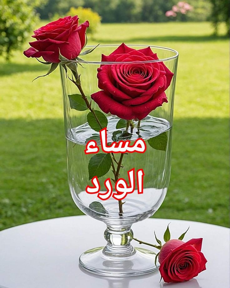 مرام (@mrm2181) on Twitter photo #دعم_مرام
#مساء_الخير_والسعاده
<a href="/7tttJ/">ᘓɹ̇ɹ̤jɺI g͠ᓄɹɹɹ</a>
<a href="/1_i_1i/">🔥🅰️ 🇩 🅰️ 🇲🔥</a>
<a href="/bi1k2/">Naqeeb Khan anjum</a>
<a href="/66Qij/">⤹💜⍣⃝𝑴𝑨𝑹𝑾𝑨⋆🧜♀👑⇣</a>
<a href="/fg2g3/">الزعيم أبو أحمد 💙🤍</a>
<a href="/5s_05/">.♩𝖆𝖑𝖘𝖍𝖔𝖚𝖗𝖆 𖠈</a>
<a href="/Ghi1D/">غـــــــــيداء 🌺</a>
<a href="/01Ar3/">🇾🇪نجم اليمن للدعم 🇾🇪</a>
<a href="/1GPTI/">🅖🅤🅛🙋♀️</a>
<a href="/Ghz97/">✪𝗚𝖍𝖆𝖟𝖆𝖑𝖆𝖍 𝗦𝖆𝖉𝖆𝖋✪</a>
<a href="/a_s_dll/">أدلــــبية حــرة💚</a>
<a href="/1qqmr/">𝓦𝓐𝓐𝓓</a>
<a href="/nor3rh/">💎Nor elrhman💎</a>
<a href="/G_0GU/">بشار الشجاع</a>
<a href="/mirl00/">Miral</a>
<a href="/1___A_1/">❤ع̷ٍش̷ُ𝓶𝔂𝓛𝓸𝓿𝓮ق̷ي❤🇸🇦</a>
<a href="/5GG33/">🇮🇶🇮🇶 Haider Ali 🇮🇶🇮🇶</a>
<a href="/V13lula/">Karen Lúcia♀️🚩🌵</a>
<a href="/nar1790/">ابو احمد</a>
<a href="/12ZZZ22/">دختور🔥🔥</a>
<a href="/s___55kh/">ابواحمدالصلوي</a>
<a href="/poohglm/">بوح القلم</a>
<a href="/y__15500/">حلاااااتي بضحكااااتي 🇸🇦</a>
<a href="/Sana_IIK/">KhanZaadi 🦋</a>
<a href="/Faithmokua4/">Fay🇰🇪🇺🇸</a>
<a href="/ahmedhifny6/">ahmed hifny</a>
<a href="/AboMohannad_/">علي العامري</a>
<a href="/1zbeVw6Ta0LyjD4/">hideaki</a> #دعم_مرام
#مساء_الخير_والسعاده
<a href="/7tttJ/">ᘓɹ̇ɹ̤jɺI g͠ᓄɹɹɹ</a>
<a href="/1_i_1i/">🔥🅰️ 🇩 🅰️ 🇲🔥</a>
<a href="/bi1k2/">Naqeeb Khan anjum</a>
<a href="/66Qij/">⤹💜⍣⃝𝑴𝑨𝑹𝑾𝑨⋆🧜♀👑⇣</a>
<a href="/fg2g3/">الزعيم أبو أحمد 💙🤍</a>
<a href="/5s_05/">.♩𝖆𝖑𝖘𝖍𝖔𝖚𝖗𝖆 𖠈</a>
<a href="/Ghi1D/">غـــــــــيداء 🌺</a>
<a href="/01Ar3/">🇾🇪نجم اليمن للدعم 🇾🇪</a>
<a href="/1GPTI/">🅖🅤🅛🙋♀️</a>
<a href="/Ghz97/">✪𝗚𝖍𝖆𝖟𝖆𝖑𝖆𝖍 𝗦𝖆𝖉𝖆𝖋✪</a>
<a href="/a_s_dll/">أدلــــبية حــرة💚</a>
<a href="/1qqmr/">𝓦𝓐𝓐𝓓</a>
<a href="/nor3rh/">💎Nor elrhman💎</a>
<a href="/G_0GU/">بشار الشجاع</a>
<a href="/mirl00/">Miral</a>
<a href="/1___A_1/">❤ع̷ٍش̷ُ𝓶𝔂𝓛𝓸𝓿𝓮ق̷ي❤🇸🇦</a>
<a href="/5GG33/">🇮🇶🇮🇶 Haider Ali 🇮🇶🇮🇶</a>
<a href="/V13lula/">Karen Lúcia♀️🚩🌵</a>
<a href="/nar1790/">ابو احمد</a>
<a href="/12ZZZ22/">دختور🔥🔥</a>
<a href="/s___55kh/">ابواحمدالصلوي</a>
<a href="/poohglm/">بوح القلم</a>
<a href="/y__15500/">حلاااااتي بضحكااااتي 🇸🇦</a>
<a href="/Sana_IIK/">KhanZaadi 🦋</a>
<a href="/Faithmokua4/">Fay🇰🇪🇺🇸</a>
<a href="/ahmedhifny6/">ahmed hifny</a>
<a href="/AboMohannad_/">علي العامري</a>
<a href="/1zbeVw6Ta0LyjD4/">hideaki</a>