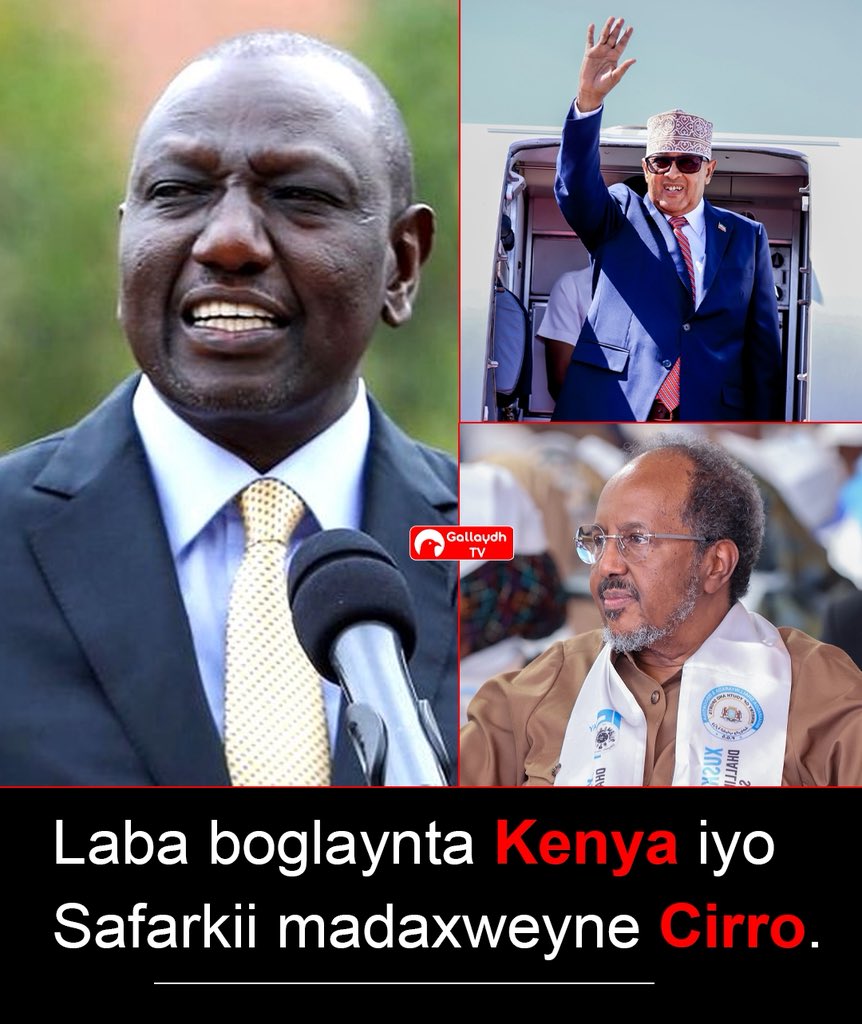 Hassangallaydh's tweet photo. Laba boglaynta #Kenya iyo Safarkii madaxweyne Cirro.

Xilli uu maanta oo Isniin ahayd uu dalka Kenya uu safar ku tegay madaxweyne Cabdiraxmaan Cirro, waxa soo baxay xogo kala duwan oo ay Kenya kaga fal celisay iyo arrimo toos u muuqda oo maanta dhacay.

Ugu horrayn Kenya warqaddii koowaad ee ay ka soo saartay safarka madaxweynaha waxa ay ku sheegtay in ay ilaalinayso midnimada Soomaaliya balse ay xidhiidh la samaynayso  dhinacyada ay Somaliland ka mid tahay.

Markii uu madaxweyne Cirro gaadhey magaalada Nairobi waxa loo soo dhoweeyey si maqaam dawladeed ah waxana garoonka diyaaradaha loo dhigay roog cas, halka soo dhowayntiisina uu safka koowaad kaga jirey Wasiirka Macdanta iyo Dhaqaalah Buluug ah Xasan Cali Joho, kaas oo ka mid ah dadka sida weyn ugu dhow madaxweyne Ruto.

Mar kale Wasaaradda Arrimaha Dibadda ee dalka Kenya oo war soo saartay waxay sheegtay in ay Somaliland siisay ogolaanshaha xafiis ay ku yeelato Nairobi balse la joojiyey xaflad xafiiskan berri loo qaban lahaa si xadhiga looga jaro.

Kenya, dhinac waxa ay soo dhowayn meeqaam sare leh u samaysay madaxweyne Cirro halka dhinac kale ay qaadday arrimo ay kaga dhuumanayso in ay cagaha la gasho buuq diblumaasiyaadeed oo uga yimaadda dhinaca Soomaaliya.

Sababta waa in ay Kenya hadda dhexda ugu jirto xiisad ka dhalatay xidhiidhka ay la leedahay kooxda ka dagaallanta dalka Suudan ee RSF taas oo gaadhey in ay safaaradaha kala qaataan Nairobi iyo Khartuum.

Kenya, waxa ay ku dedaalaysaa in ay laba shinbirood hal dhagax ku wada disho oo ah in ay madaxweyne Cirro roog cas ku soo dhowayso, Wasiirro u dirto, liisan xafiis u ogolaato, la samaysto xidhiidh toos ah, sii waddo in Passport-ka Somaliland lagu helo Visaha Kenya iyo weliba in ay dhinaca kale iska ilaaliso dareen ka yimaadda dhinaca Soomaaliya, maaddama oo ay Soomaaliya tahay suuqa ugu badan ee ay u iib geyso qaadka Miirooga oo ah laf dhabarta dhaqaalaha Kenya ee waddamada jaarka ah ay la wadaagto.

Gallaydh TV