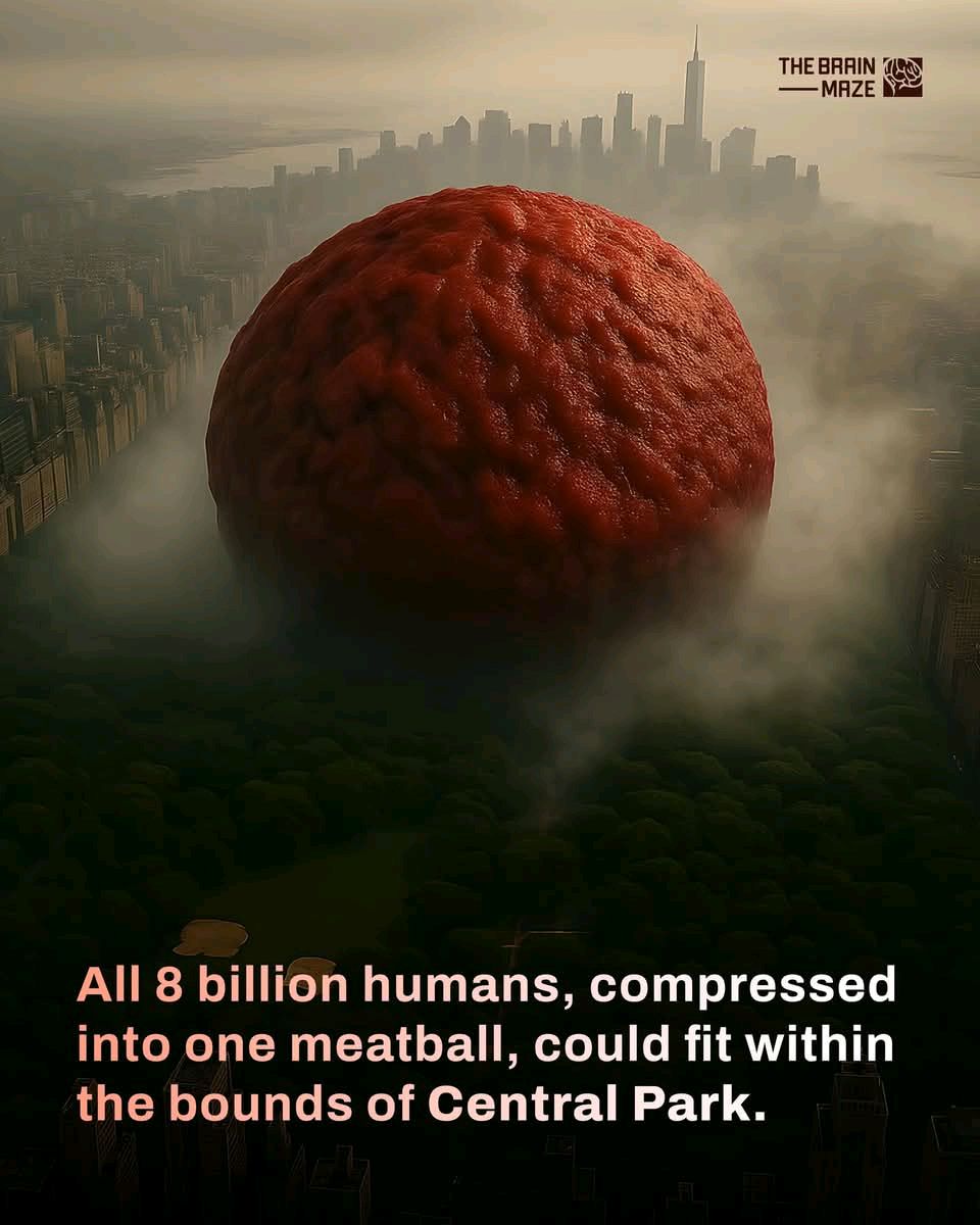 digismarties's tweet image. Did you know? If humanity were compressed into a single location, our combined volume would fit into Central Park... as one colossal &quot;meatball.&quot; 🍝 Mind = Blown! 🌎 What other travel fact surprises you the most? #TravelFacts #FunTrivia