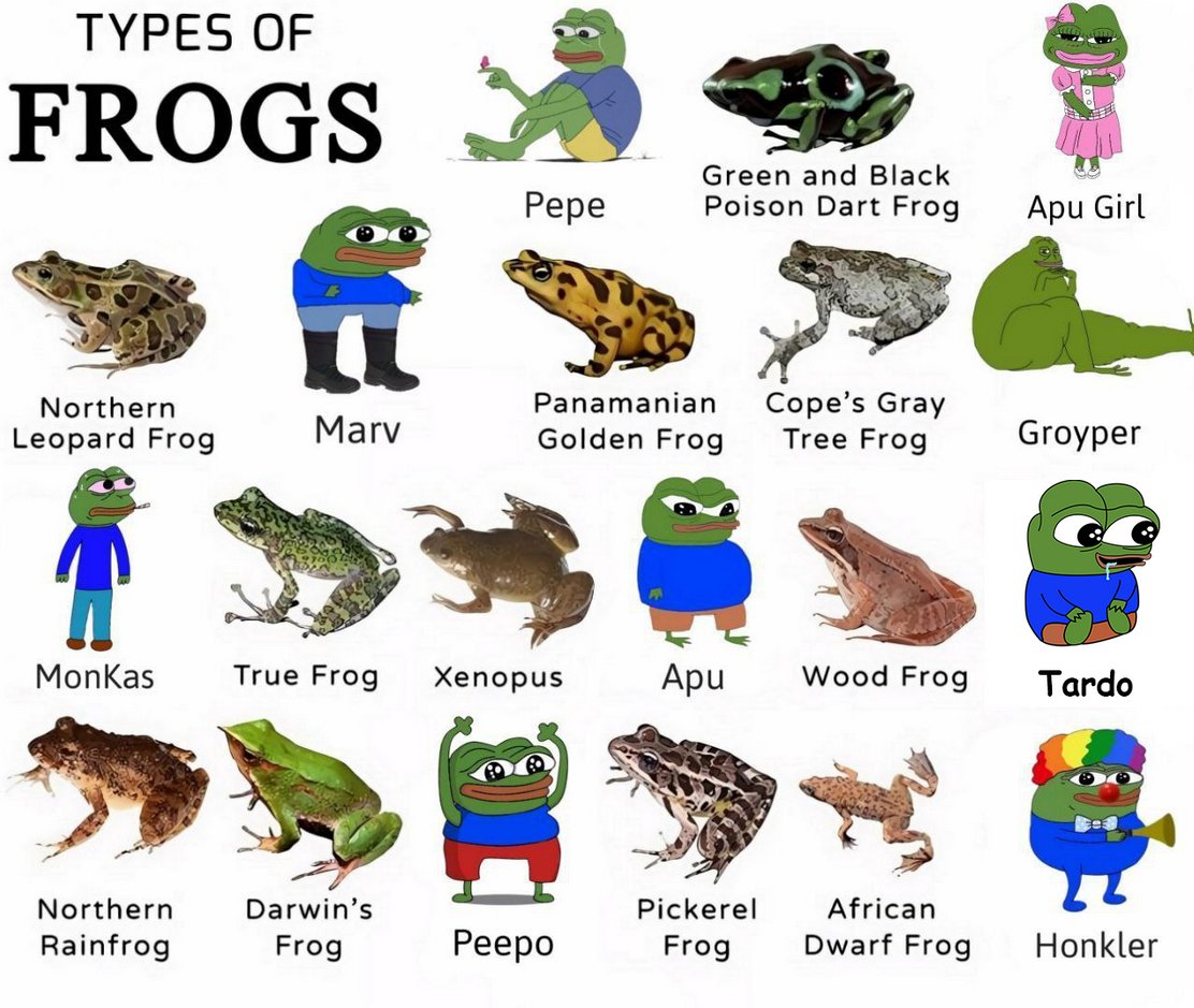 Study $TARDO &amp; $PEPE's Lore