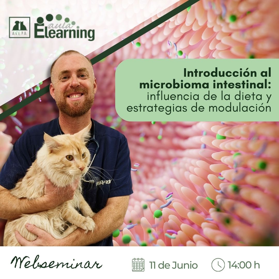 AVEPA_vet's tweet photo. Aprende sobre el #microbiomaintestinal con Luis M. García Roldán en este #webinar.
Analizaremos el rol de las diferentes dietas en el manejo de la #enteropatíacrónica y debatiremos estrategias innovadoras para modular el #microbioma .
https://t.co/qNwZKx20vg
#veterinaria https://t.co/hnjpn1oo92