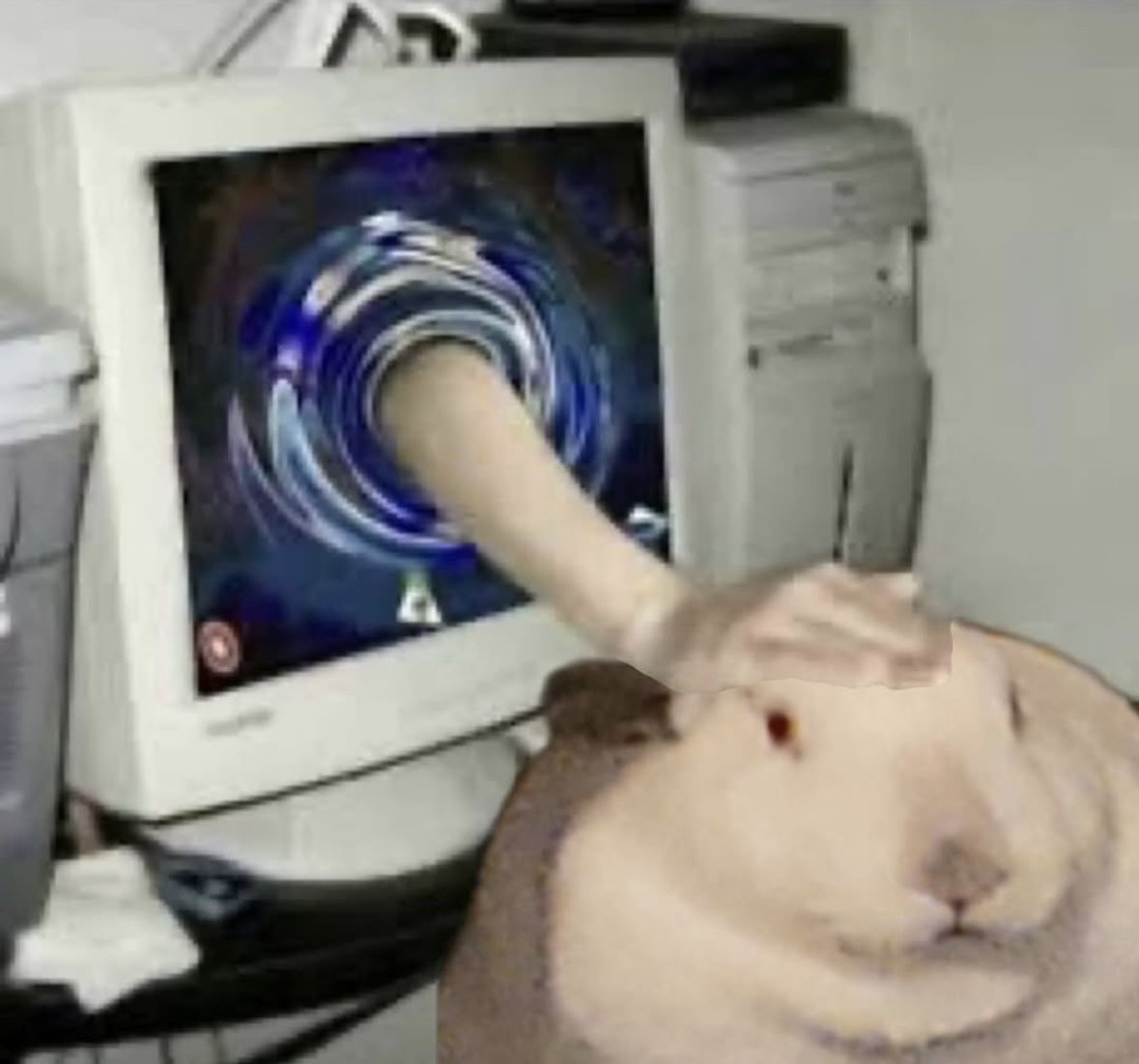 Bunnies's tweet image. 