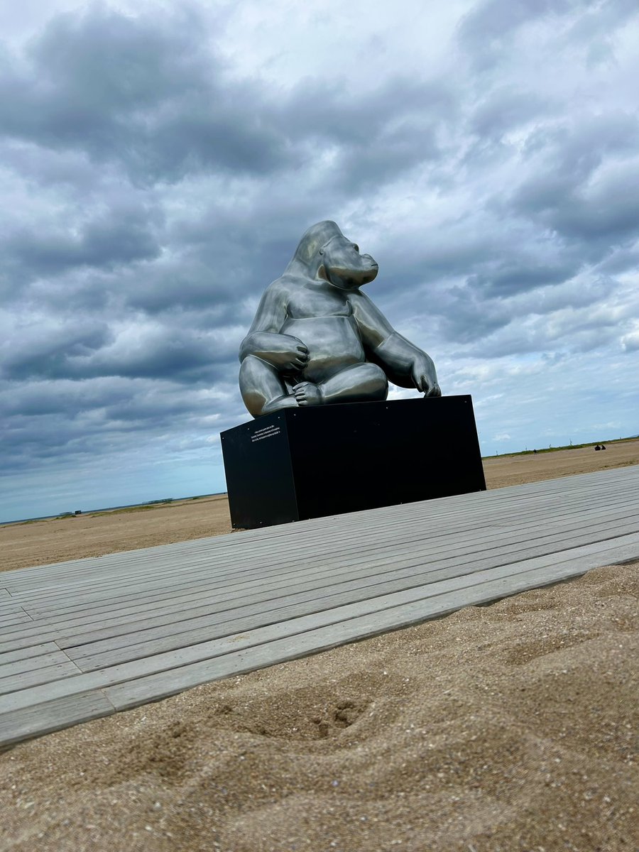 CaenNormandie (@caen_normandie) on Twitter photo Les quatre premières sculptures de <a href="/BassompierreArt/">Michel BASSOMPIERRE</a> ont été installées aujourd’hui sur la promenade de la paix à <a href="/OuistrehamRB/">Ouistreham Riva-Bella</a>. Les six autres arriveront demain mardi devant l’hôtel de ville de <a href="/CaenOfficiel/">Ville de Caen</a>. #MillenaireCaen #DouceurAnimale Les quatre premières sculptures de <a href="/BassompierreArt/">Michel BASSOMPIERRE</a> ont été installées aujourd’hui sur la promenade de la paix à <a href="/OuistrehamRB/">Ouistreham Riva-Bella</a>. Les six autres arriveront demain mardi devant l’hôtel de ville de <a href="/CaenOfficiel/">Ville de Caen</a>. #MillenaireCaen #DouceurAnimale
