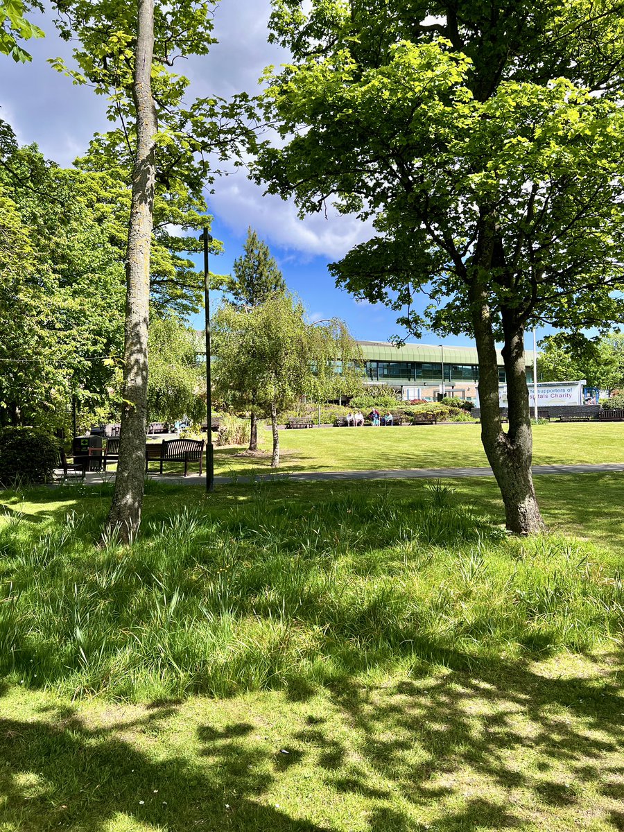 Michael Sadgrove 🇪🇺 tweet media