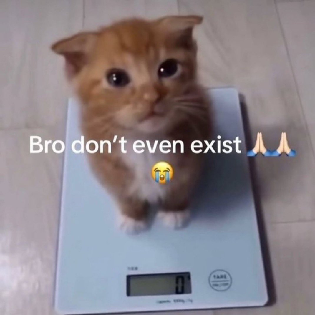 THAT WAS A GOOD KEK ⚠️ SPACE 
THANKS FOR MAKING IT THAT WAY 
FOR THIS YOU WON A NICE KITTY 
(You know what’s NXT)