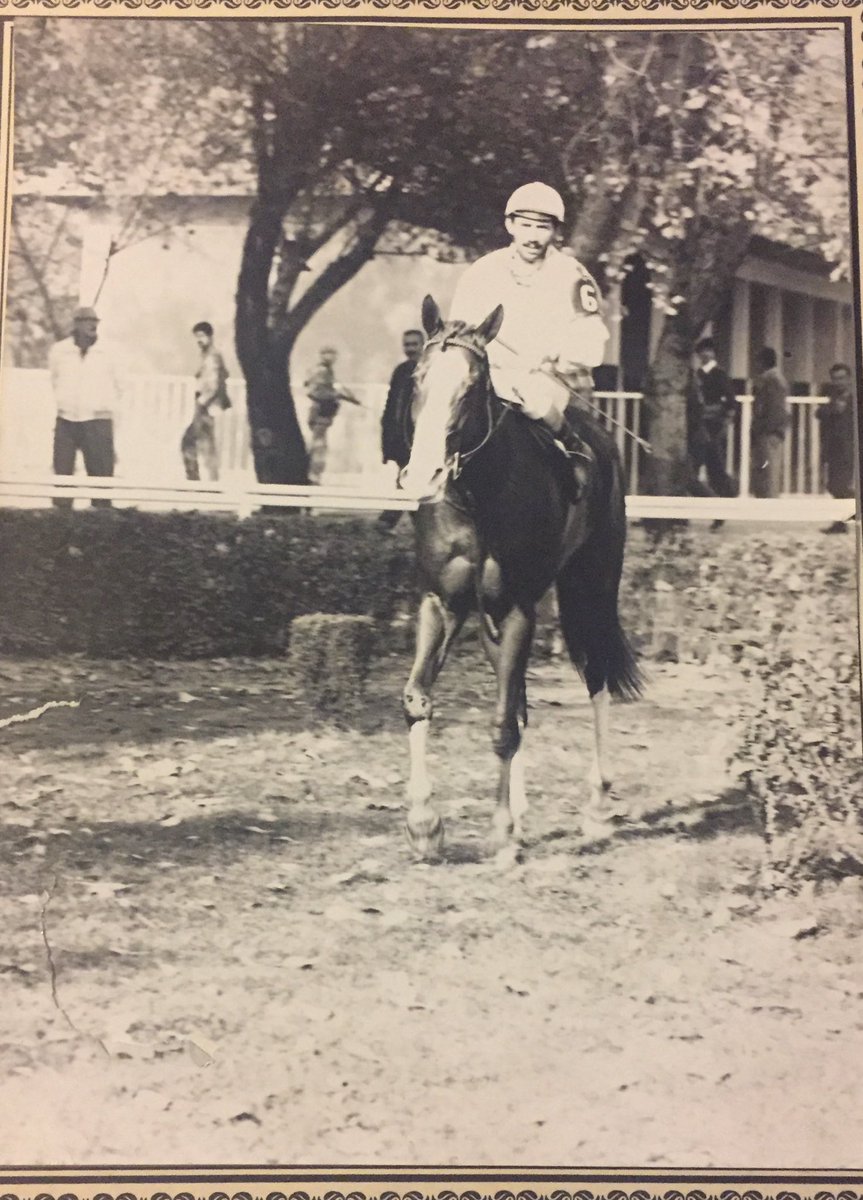 ⁦<a href="/FarkliAnaliz/">Farklı Analiz</a>⁩ ayışığı ve S.Akdı 1980 Çaldıran koşusu