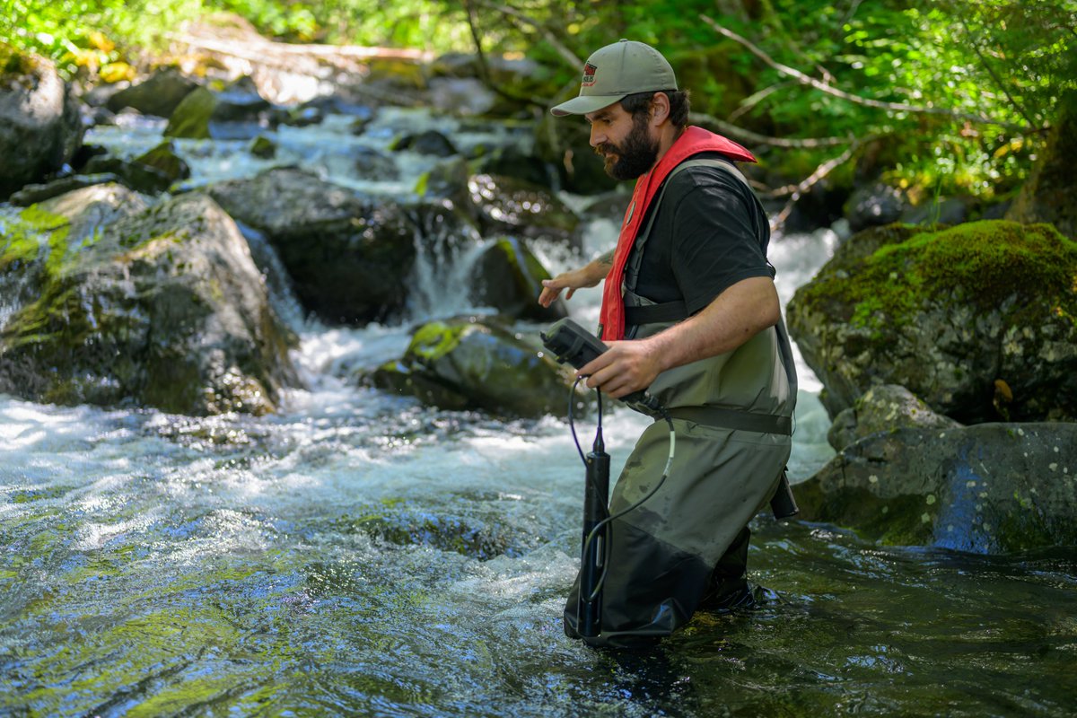 HakaiInstitute's tweet image. Bushwhacking, river wading, and “secondhand fun:” Na̲nwak̲olas Council, 5 First Nations, and the Hakai Institute take us behind the scenes of the 50 Watersheds Project studying the impacts of forest management and climate change on salmon habitats 🔗 tinyurl.com/msrksfab