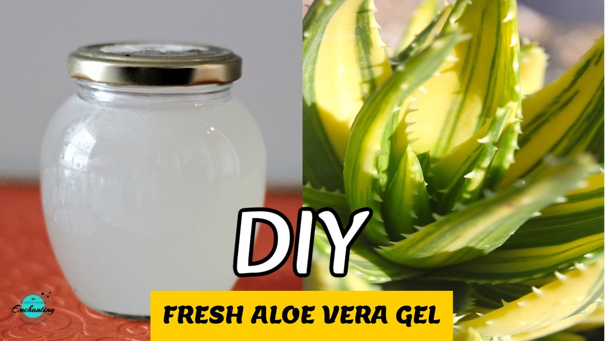 Everything Enchanting Blog -Reviews, Tips & Guides (@everythingench1) on Twitter photo #AloeVera for Beauty: How I make & Use My Own Gel at Home. Learn how I extract and use fresh aloe vera gel at home for #glowingskin and healthy #hair, with easy DIY steps and tips, on my other #beauty blog #naturalbeautyandmakeup ๐๐ป
naturalbeautyandmakeup.com/2025/05/diy-alโฆ
#aloeveragel #diy #AloeVera for Beauty: How I make & Use My Own Gel at Home. Learn how I extract and use fresh aloe vera gel at home for #glowingskin and healthy #hair, with easy DIY steps and tips, on my other #beauty blog #naturalbeautyandmakeup ๐๐ป
naturalbeautyandmakeup.com/2025/05/diy-alโฆ
#aloeveragel #diy