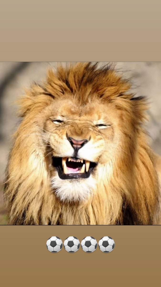 Mauro Icardi'nin paylaşımı