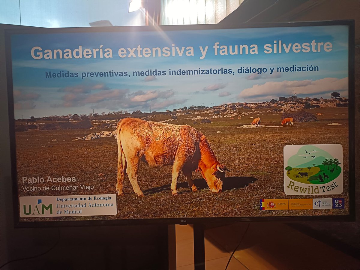 RewildTest tweet media