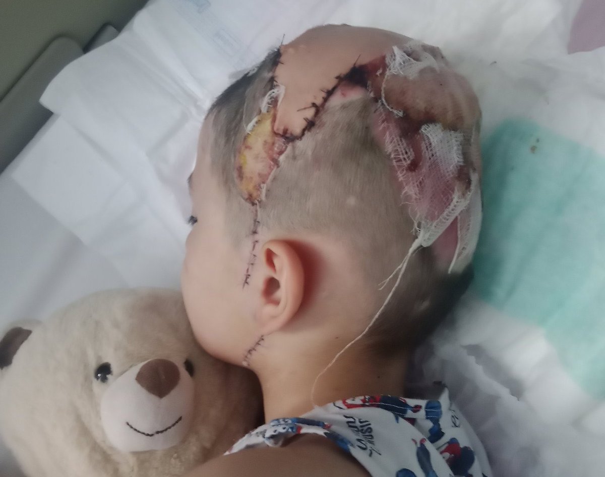 Al sana sokakta sessizce var olmaya çalışan can dostlarınızın eseri.

Utanmazlar.
Millete meydan okumaya devam edin bakalım.

#köpekterörü